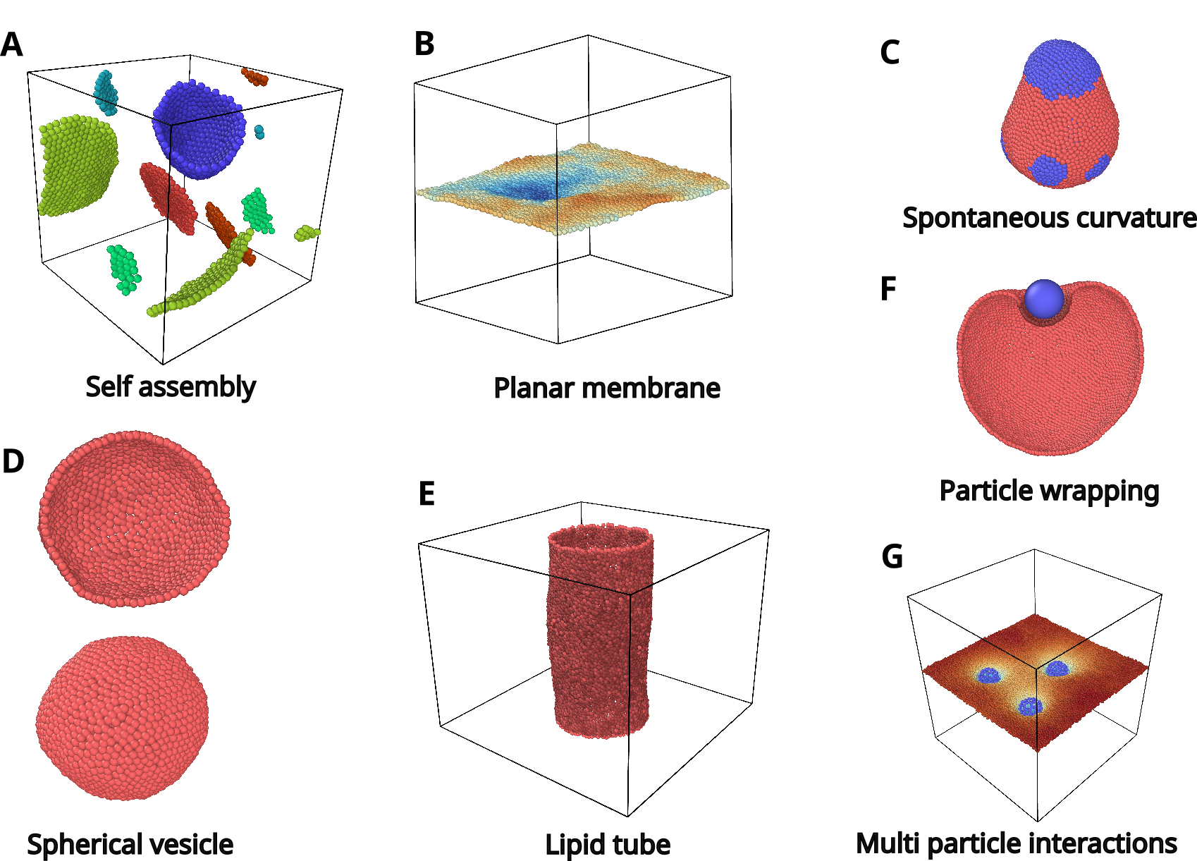 Overview of MesoMem simulated lipid systems